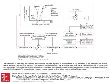 Basic elements of renal-body fluid feedback mechanism for long-term regulation of blood pressure. A key component of this feedback is the effect of arterial.