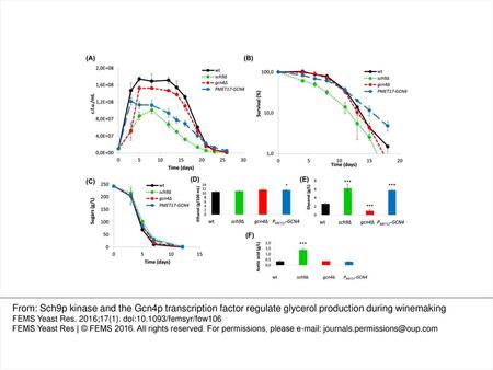 Figure 1. SCH9 deletion and GCN4 overexpression modulate growth and metabolite production under winemaking conditions. (A) Cell viability in natural grape.