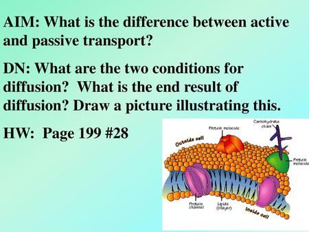 AIM: What is the difference between active and passive transport?