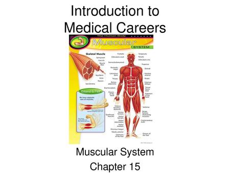 Introduction to Medical Careers