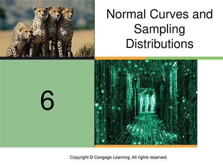 6 Normal Curves and Sampling Distributions