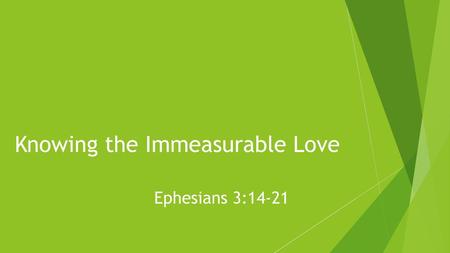 Knowing the Immeasurable Love