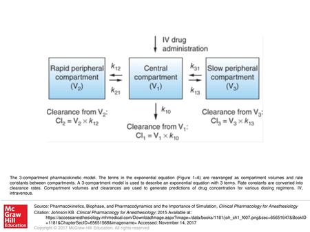 The 3-compartment pharmacokinetic model