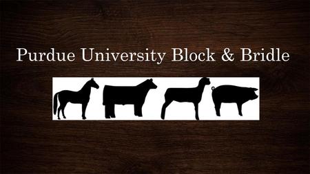 Purdue University Block & Bridle