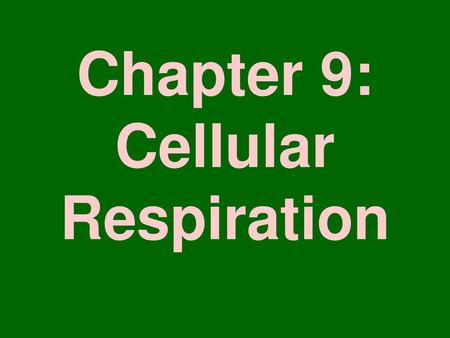 Chapter 9: Cellular Respiration