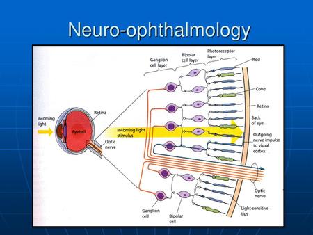 Neuro-ophthalmology.