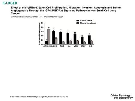 Effect of microRNA-135a on Cell Proliferation, Migration, Invasion, Apoptosis and Tumor Angiogenesis Through the IGF-1/PI3K/Akt Signaling Pathway in Non-Small.