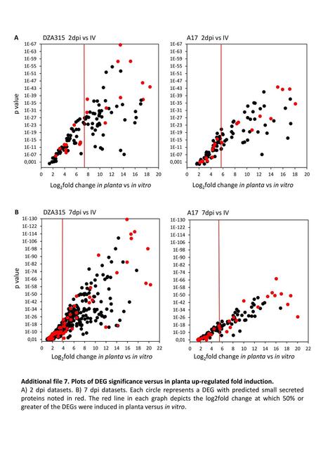 Log2fold change in planta vs in vitro