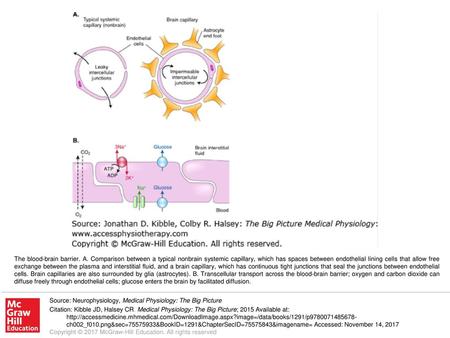 The blood-brain barrier. A