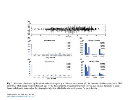 Fig. 2. Severities of seizures by durations and daily frequency at different time points. (A) An example of seizure activity in EEG recording. (B) Seizure.