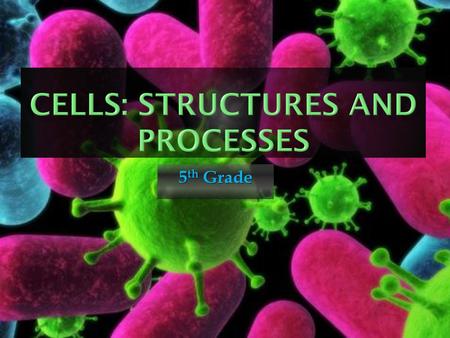 Cells: Structures and Processes