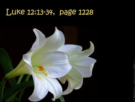 Luke 12:13-34, page 1228 ‘Put away riches in heaven that will not be used up’