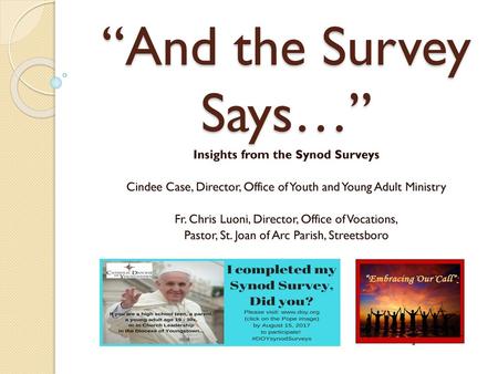 Insights from the Synod Surveys