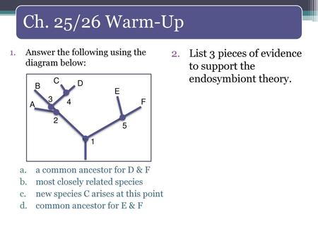 Ch. 25/26 Warm-Up Answer the following using the  diagram below: