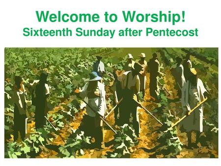 Sixteenth Sunday after Pentecost