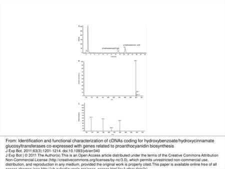 Fig. 6. Characterization of the VvgGT protein product (p-hydroxybenzoyl-glucose) with p-hydroxybenzoic acid as substrate. (A) Chromatogram at 280 nm of.