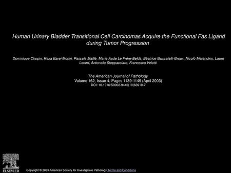 Human Urinary Bladder Transitional Cell Carcinomas Acquire the Functional Fas Ligand during Tumor Progression  Dominique Chopin, Reza Barei-Moniri, Pascale.