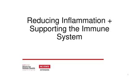 Reducing Inflammation + Supporting the Immune System