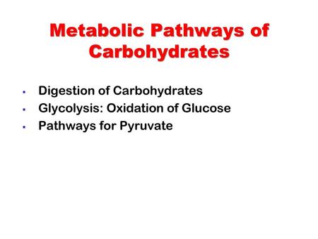 Metabolic Pathways of Carbohydrates