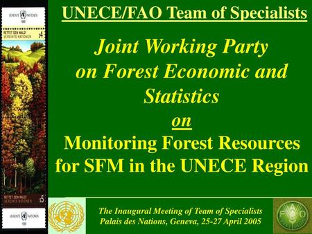 Joint Working Party on Forest Economic and Statistics