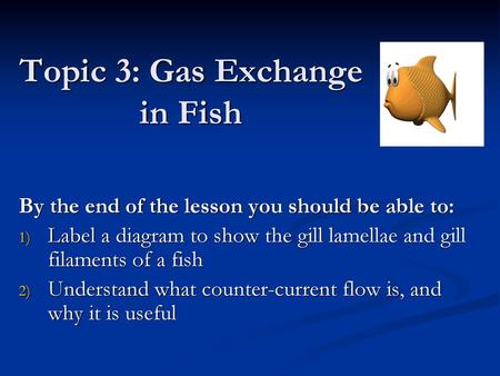 Topic 3: Gas Exchange in Fish