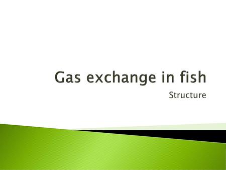 Gas exchange in fish Structure.