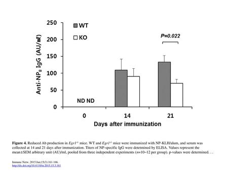 Figure 4. Reduced Ab production in Egr1-/- mice