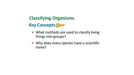 Classifying Organisms