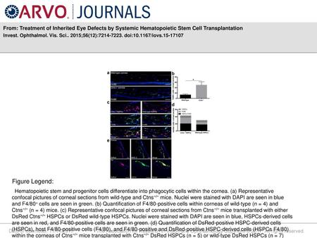 Invest. Ophthalmol. Vis. Sci ;56(12): doi: /iovs Figure Legend: