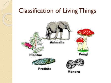 Classification of Living Things