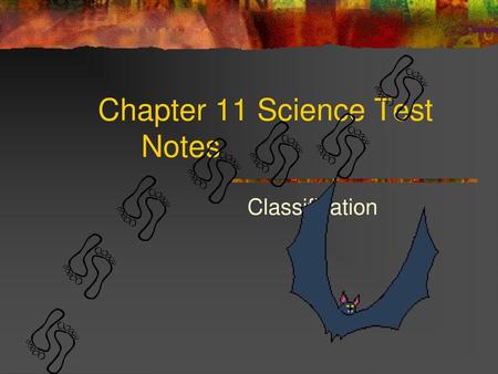 Chapter 11 Science Test Notes