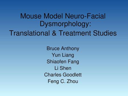 Mouse Model Neuro-Facial Dysmorphology: