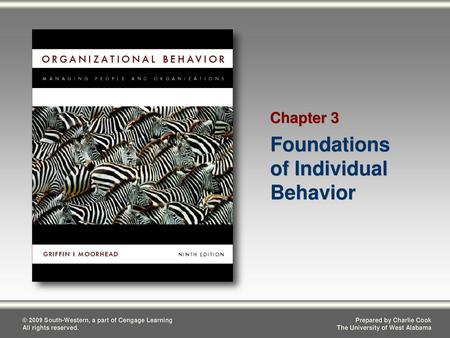 Foundations of Individual Behavior