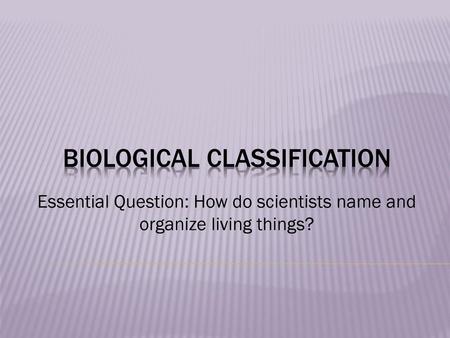 Biological classification