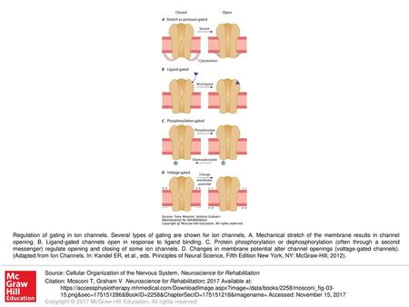 Regulation of gating in ion channels