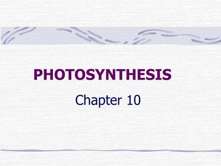 PHOTOSYNTHESIS Chapter 10.