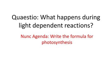 Quaestio: What happens during light dependent reactions?