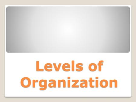 Levels of Organization