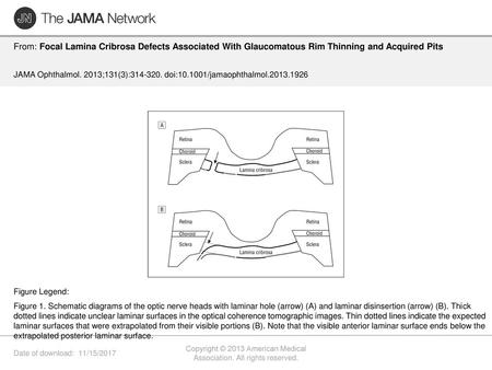 Copyright © 2013 American Medical Association. All rights reserved.