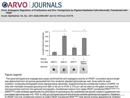 From: Endogenic Regulation of Proliferation and Zinc Transporters by Pigment Epithelial Cells Nonvirally Transfected with PEDF Invest. Ophthalmol. Vis.