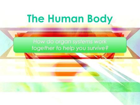 How do organ systems work together to help you survive?