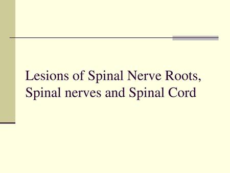 Lesions of Spinal Nerve Roots, Spinal nerves and Spinal Cord