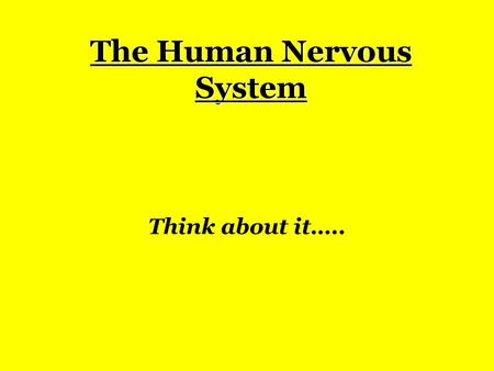 The Human Nervous System