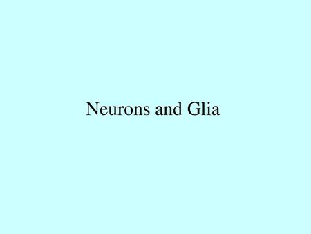 Neurons and Glia.