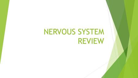 NERVOUS SYSTEM REVIEW.