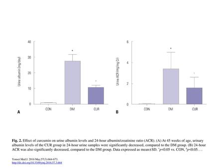 Fig. 2. Effect of curcumin on urine albumin levels and 24-hour albumin/creatinine ratio (ACR). (A) At 45 weeks of age, urinary albumin levels of the CUR.