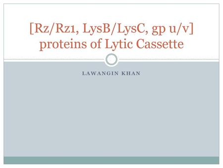 [Rz/Rz1, LysB/LysC, gp u/v] proteins of Lytic Cassette