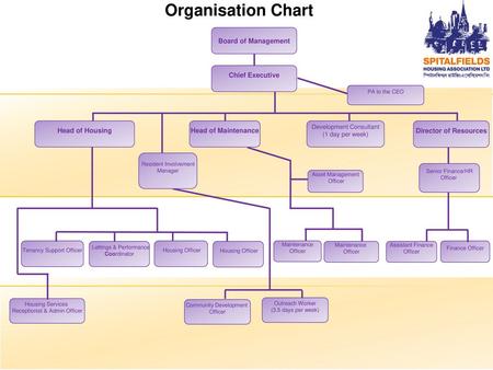 Organisation Chart Board of Management Chief Executive Head of Housing