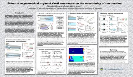 Effect of asymmetrical organ of Corti mechanics on the onset-delay of the cochlea Wenxiao Zhou1, and Jong-Hoon Nam1, 2 1Department of Mechanical.