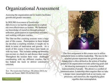 Organizational Assessment